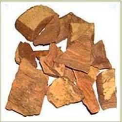 Arjuna Bark Terminalia Arjuna Extract Arjuna Powder Arjuna Bark Terminalia Arjuna Extract Arjuna Powder